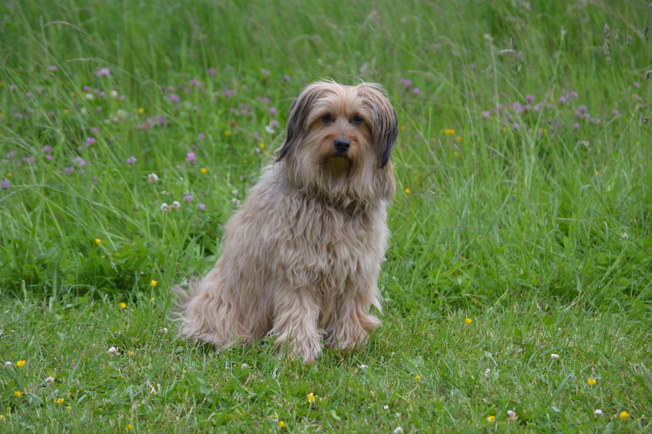 Oktober 2025: Bleib dort hinten und setz dich hin