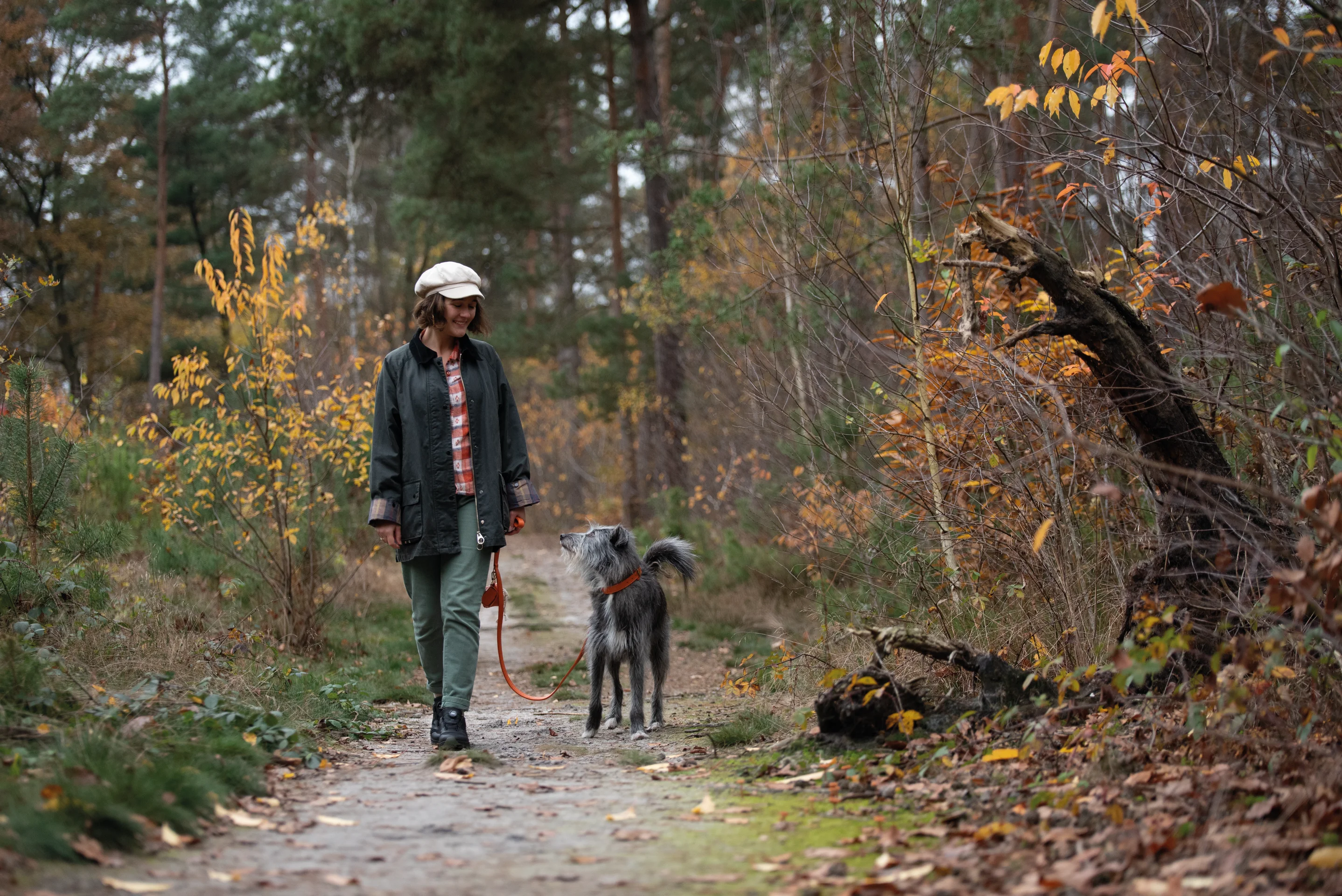 Milow DogWalker® Halbschuh