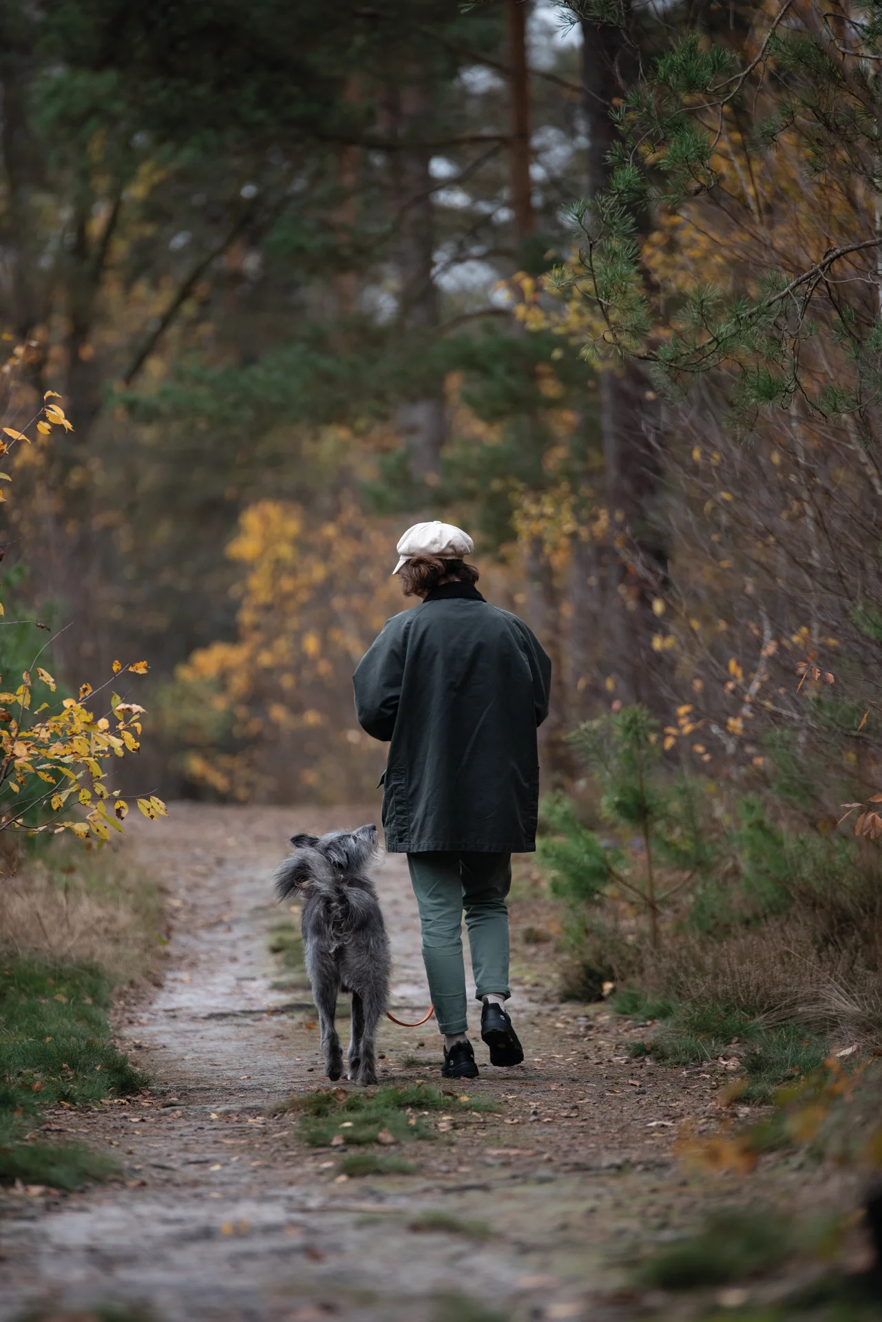 Milow DogWalker® Halbschuh