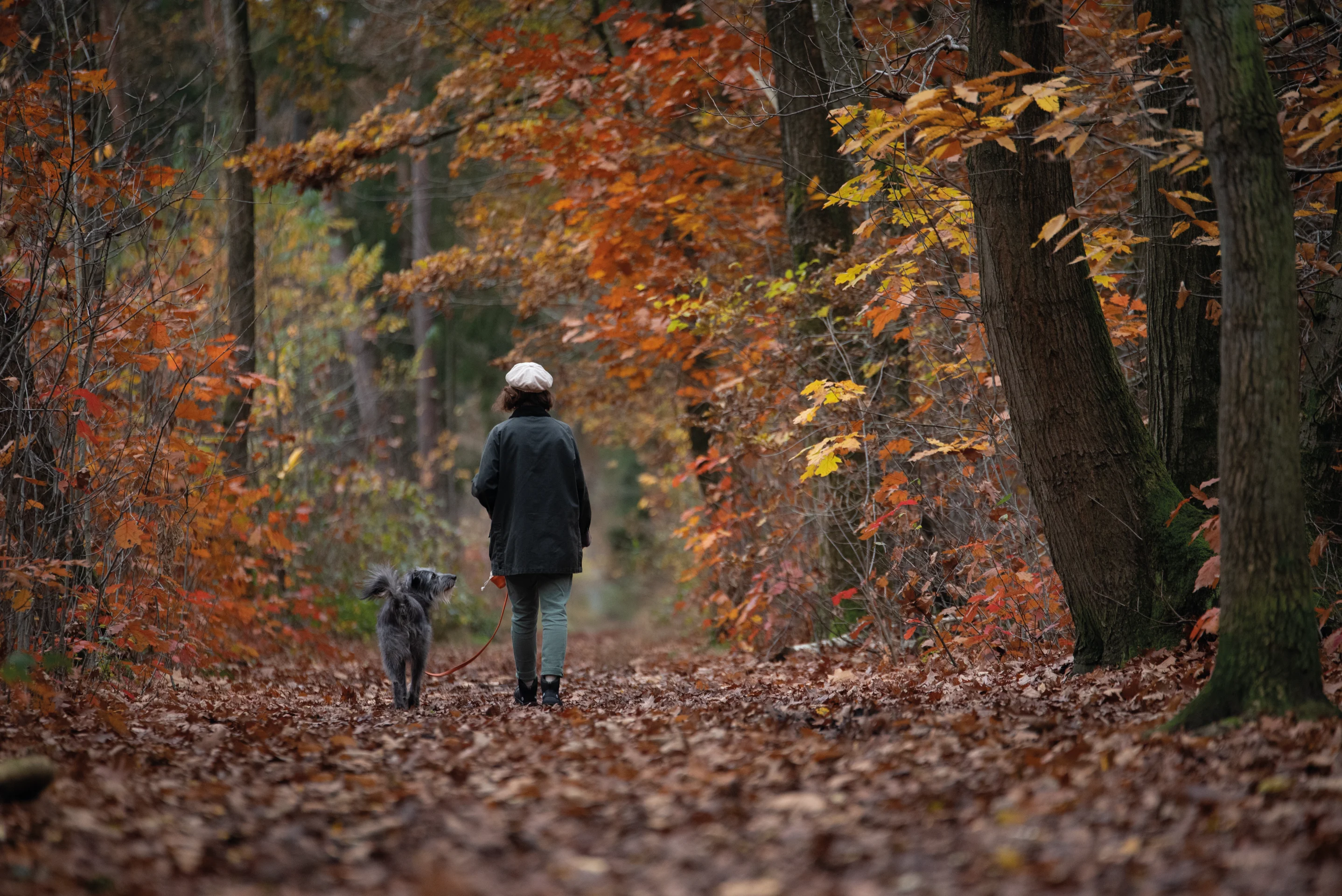 Balu DogWalker® Stiefel